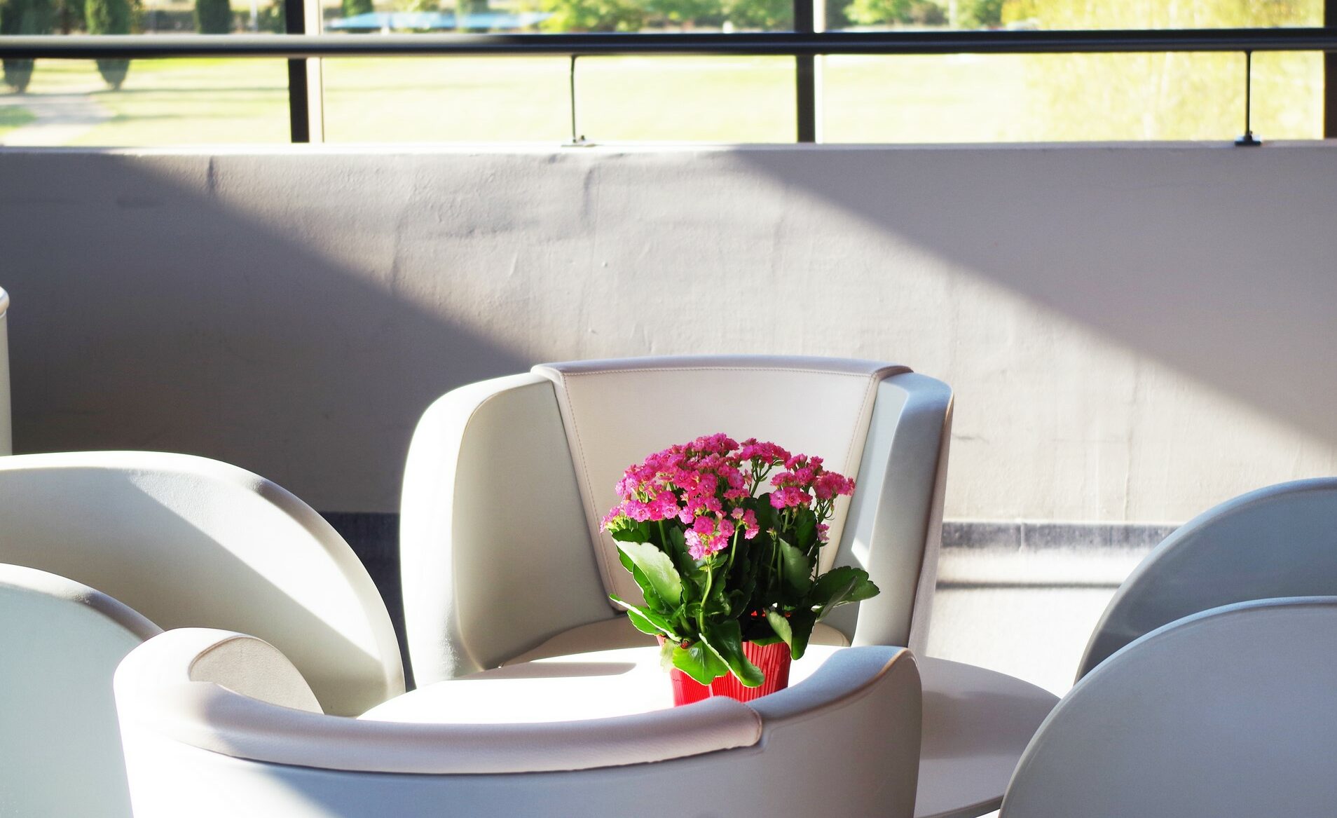 Un bouquet de fleurs roses sur une table basse blanche, elle-même entourée de fauteuils blancs. En arrière-plan, vue sur le parc central de la Clinique à travers la façade vitrée.
